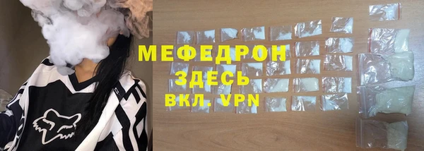 индика Горнозаводск