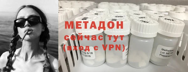 прущие грибы Горно-Алтайск