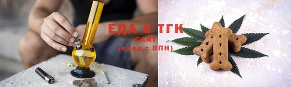 индика Горнозаводск