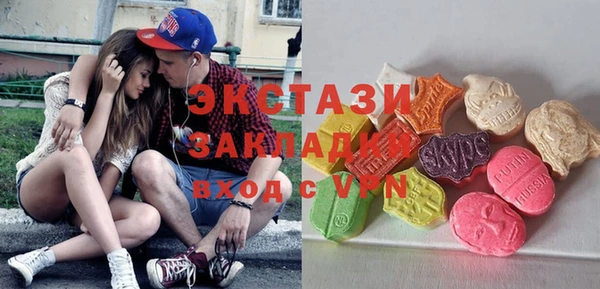 индика Горнозаводск