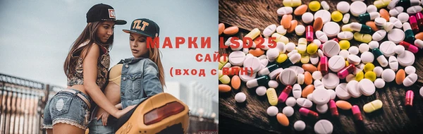 прущие грибы Горно-Алтайск