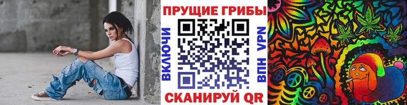 Галлюциногенные грибы Psilocybine cubensis  Купить где  Гусь-Хрустальный 